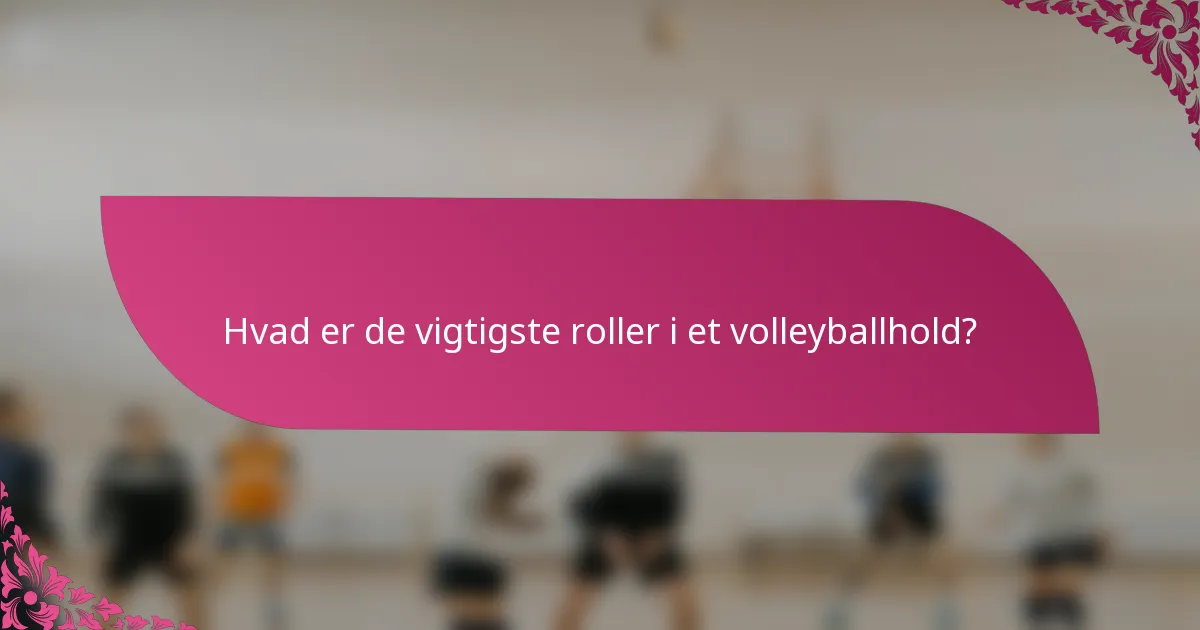 Hvad er de vigtigste roller i et volleyballhold?